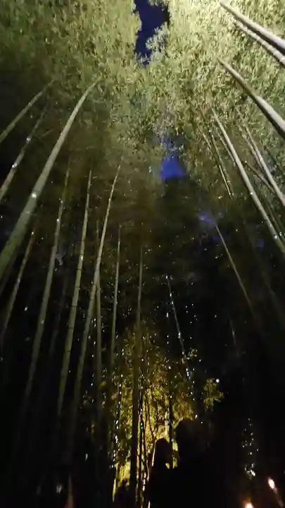 高台寺(高台寿聖禅寺・高臺寺)(京都府)