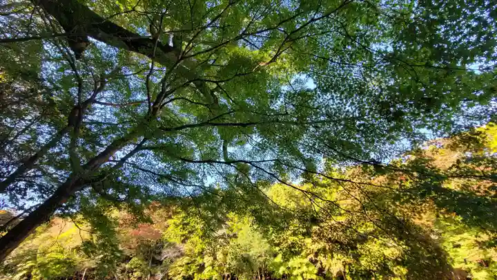 伊勢神宮内宮(皇大神宮)(三重県)