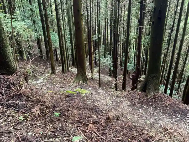 浄蓮庵(徳島県)