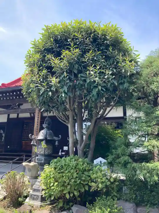 最勝寺(神奈川県)