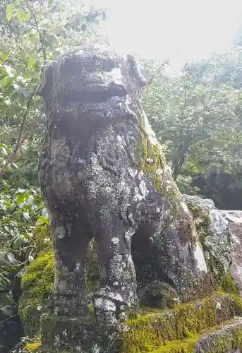 荒倉神社の狛犬