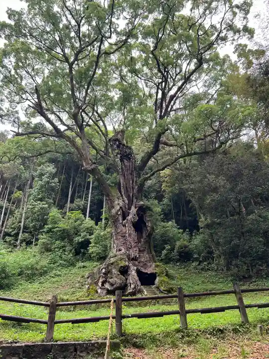 武雄神社(佐賀県)