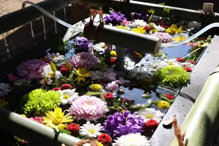 石神井氷川神社(東京都)