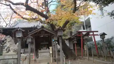 御園神社のその他建物