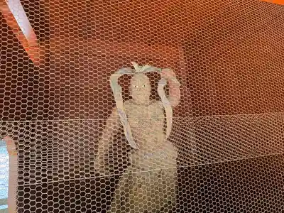 如願寺(京都府)