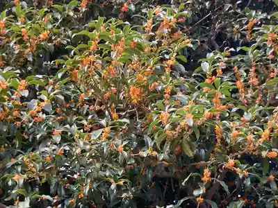 吉祥院(東京都)