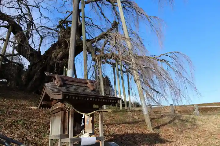 瀧桜神明宮の本殿・本堂