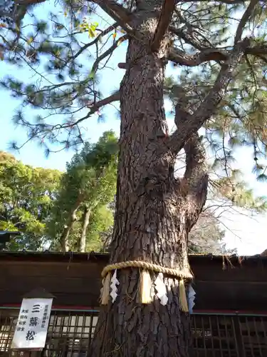 前原御嶽神社(千葉県)