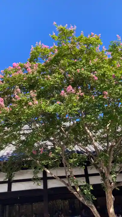 佛光寺(京都府)