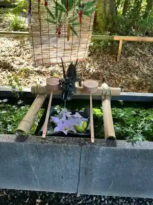 下野 星宮神社の{uncategorized: "未分類", other: "その他", undefined: "問題あり", building: "その他建物", grave: "お墓", sacred_gate: "鳥居", guardian: "狛犬", statue: "像", buddha: "仏像", history: "歴史", nature: "自然", garden: "庭園", animal: "動物", pagoda: "塔", temizu: "手水舎", mountain_gate: "山門・神門", sanctuary: "本殿・本堂", subordinate: "末社・摂社", art: "芸術", scenery: "景色", jizo: "地蔵", ema: "絵馬", goshuin: "御朱印", omikuji: "おみくじ", items: "授与品その他", amulet: "お守り", goshuincho: "御朱印帳", eats: "食事", festival: "お祭り", votive_dance: "神楽", shichigosan: "七五三参", wedding: "結婚式", experience: "体験その他", initially: "初詣", around: "周辺", anti_infection: "感染症対策"}