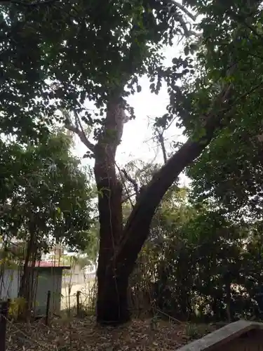稲荷神社のその他建物