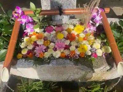 田間神社(千葉県)