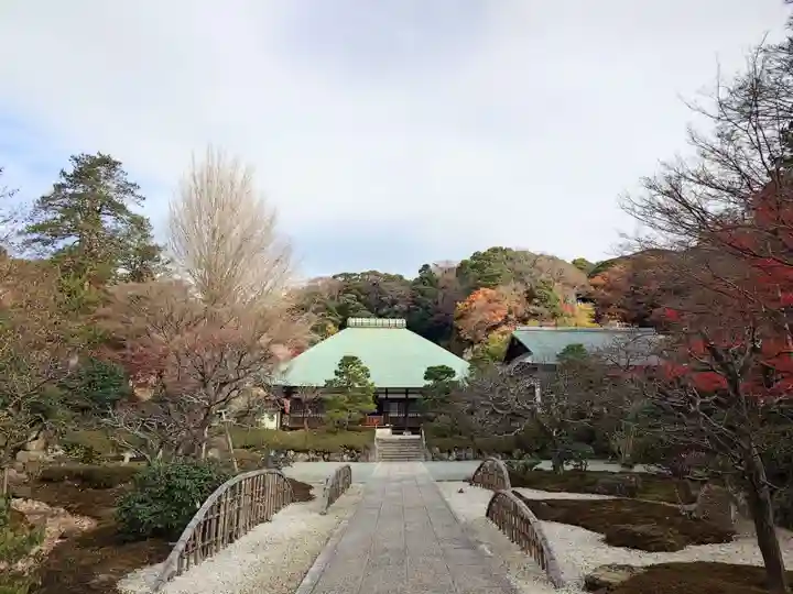 浄妙寺(神奈川県)
