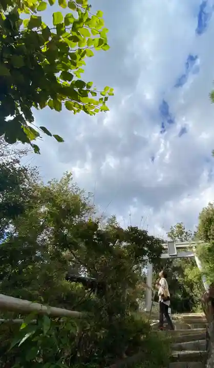 自玉手祭来酒解神社(京都府)