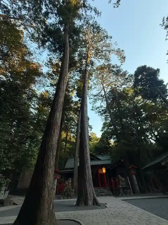 椿大神社(三重県)