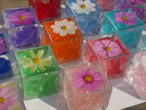 般若寺 ❁﻿コスモス寺❁(奈良県)