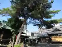 駒留八幡神社のその他建物
