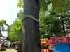 中の島神社(北海道)