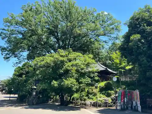 喜多院(埼玉県)
