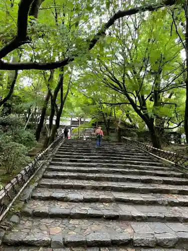 龍安寺(京都府)