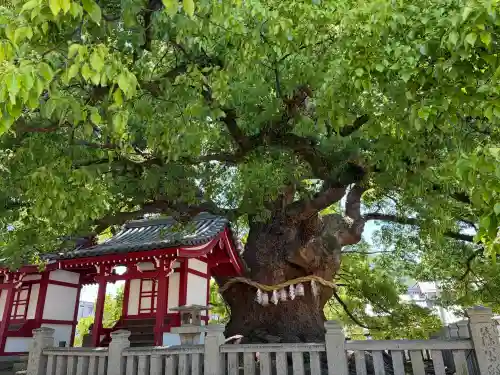 善通寺の{uncategorized: "未分類", other: "その他", undefined: "問題あり", building: "その他建物", grave: "お墓", sacred_gate: "鳥居", guardian: "狛犬", statue: "像", buddha: "仏像", history: "歴史", nature: "自然", garden: "庭園", animal: "動物", pagoda: "塔", temizu: "手水舎", mountain_gate: "山門・神門", sanctuary: "本殿・本堂", subordinate: "末社・摂社", art: "芸術", scenery: "景色", jizo: "地蔵", ema: "絵馬", goshuin: "御朱印", omikuji: "おみくじ", items: "授与品その他", amulet: "お守り", goshuincho: "御朱印帳", eats: "食事", festival: "お祭り", votive_dance: "神楽", shichigosan: "七五三参", wedding: "結婚式", experience: "体験その他", initially: "初詣", around: "周辺", anti_infection: "感染症対策"}