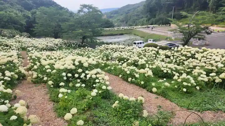 陽林寺(福島県)