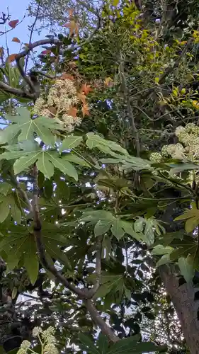 元祇園梛神社・隼神社(京都府)