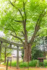 六所神社(山形県)