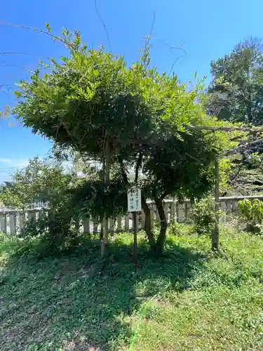 八雲神社(緑町)(栃木県)