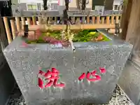 高円寺氷川神社の手水舎