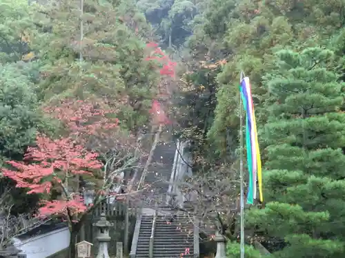 知恩院(京都府)