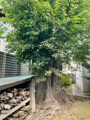 中田出世稲荷神社(東京都)