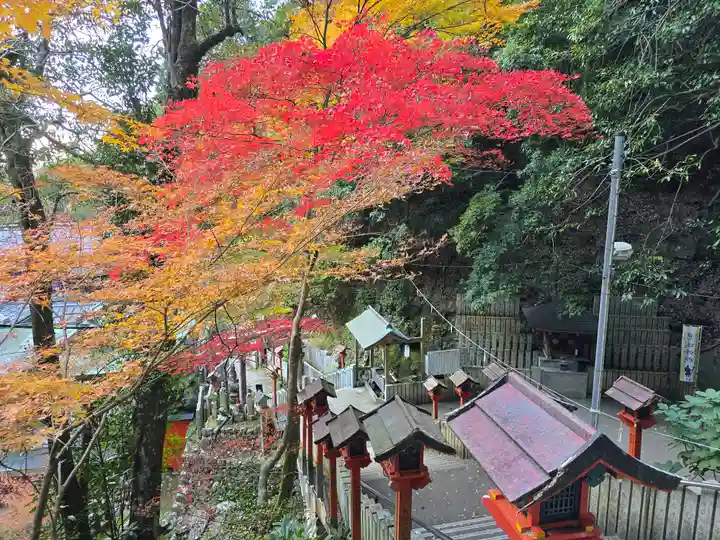 大本山七宝瀧寺(大阪府)