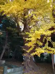 鎌数伊勢大神宮の周辺