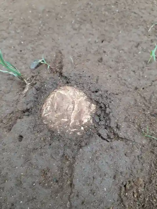 伏木香取神社の自然