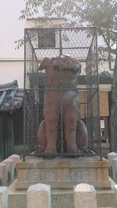 八坂神社(祇園さん)の狛犬