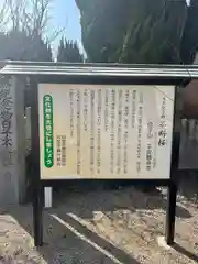 観音寺の建物その他