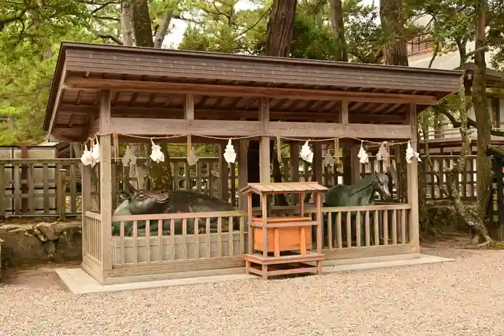 出雲大社(島根県)