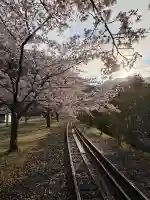 船場八幡神社の{uncategorized: "未分類", other: "その他", undefined: "問題あり", building: "その他建物", grave: "お墓", sacred_gate: "鳥居", guardian: "狛犬", statue: "像", buddha: "仏像", history: "歴史", nature: "自然", garden: "庭園", animal: "動物", pagoda: "塔", temizu: "手水舎", mountain_gate: "山門・神門", sanctuary: "本殿・本堂", subordinate: "末社・摂社", art: "芸術", scenery: "景色", jizo: "地蔵", ema: "絵馬", goshuin: "御朱印", omikuji: "おみくじ", items: "授与品その他", amulet: "お守り", goshuincho: "御朱印帳", eats: "食事", festival: "お祭り", votive_dance: "神楽", shichigosan: "七五三参", wedding: "結婚式", experience: "体験その他", initially: "初詣", around: "周辺", anti_infection: "感染症対策"}