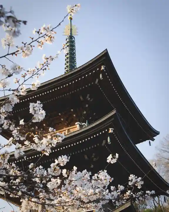 大雄院(群馬県)