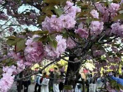 出会い不動の{uncategorized: "未分類", other: "その他", undefined: "問題あり", building: "その他建物", grave: "お墓", sacred_gate: "鳥居", guardian: "狛犬", statue: "像", buddha: "仏像", history: "歴史", nature: "自然", garden: "庭園", animal: "動物", pagoda: "塔", temizu: "手水舎", mountain_gate: "山門・神門", sanctuary: "本殿・本堂", subordinate: "末社・摂社", art: "芸術", scenery: "景色", jizo: "地蔵", ema: "絵馬", goshuin: "御朱印", omikuji: "おみくじ", items: "授与品その他", amulet: "お守り", goshuincho: "御朱印帳", eats: "食事", festival: "お祭り", votive_dance: "神楽", shichigosan: "七五三参", wedding: "結婚式", experience: "体験その他", initially: "初詣", around: "周辺", anti_infection: "感染症対策"}