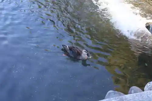 鑁阿寺(栃木県)