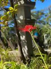 海蔵寺の自然