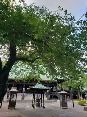 妙法寺のその他建物