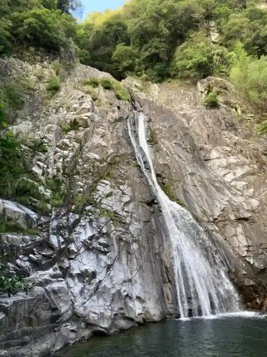 不動尊(布引の滝)の自然