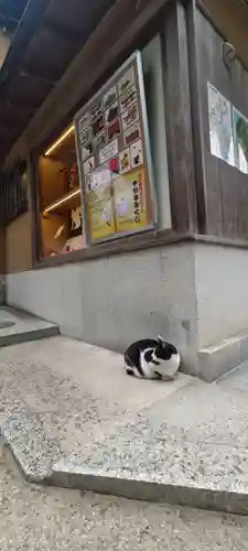 伏見稲荷大社(京都府)