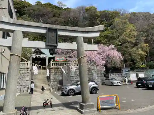 根岸八幡神社の鳥居