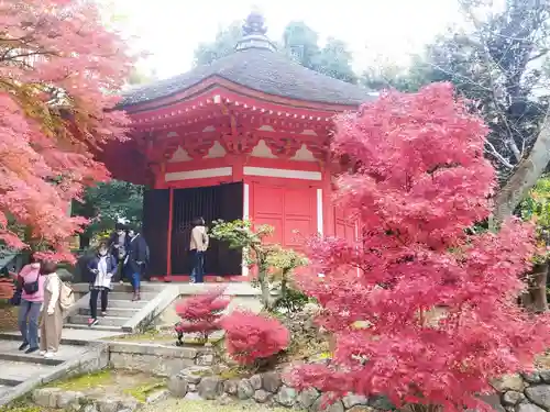 東福禅寺（東福寺）(京都府)