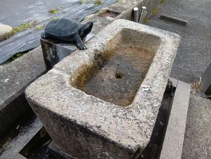 鶉田神社(岐阜県)