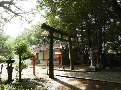 照島神社の鳥居